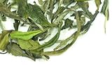 White Peony Tea - 4oz