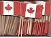 100 Miniature Canada Toothpick Flags, Small Mini Canadian Flag Cupcake Toothpicks or Cocktail Sticks & Picks (1 Box)