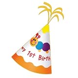 Baby Einstein 1st Birthday Felt Party Hat