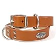 Burnt Orange Leather Dog Collar - Collegiate Series (CLOSE OUT)
