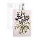 Helleborus Orientalis from Helen Ballard (dark purple flowers) by Alison Cooper - Postcard (Pack of 8) - 6x4 inch - Art247 Highest Quality - Standard Size - Pack Of 8