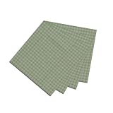 Patch Magic Green Mint and White Gingham Checks Fabric Napkin, 20-Inch by 20-Inch