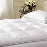 Review SmartBargains  / Alpine All Natural Featherbed