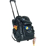 EmbassyTM Italian StoneTM Design Genuine Leather Backpack/Cart