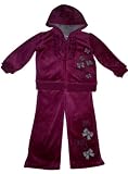 Toddler Girls 3pc Bow Embroidery Purple Velour Hooded Pants Set