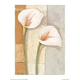 Two White Callas by Marita Stock Fine Art Print / Poster 19.75 x 27.50 in.