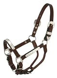 Royal King Silver Bar Show Halter - Dark Oil - Miniature