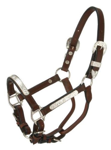 Royal King Silver Bar Show Halter - Dark Oil - Miniature