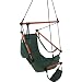 Castaway Swing Chair, Green