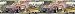Corvette Multi Car Mural Style Wall Border 9 x 144 (24-inch repeat)