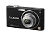 Panasonic DMCFX37 Digital Camera - Black (10MP, 5x Optical Zoom) 2.5