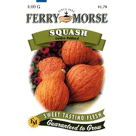 Ferry-Morse 1970 Squash Seeds, Golden Hubbard (4 Gram Packet) [Lawn & Patio]