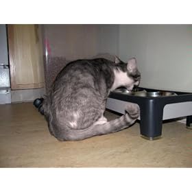 Our Pets Signature Series