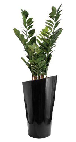 Blumenkübel Pflanzkübel Pflanzgefäße