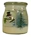 Langley Frosty and Trees 16 ounce Gel Candle