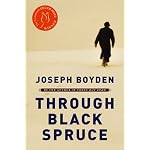 Through Black Spruce