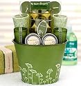 Lumi&egrave;re D'espritTM Fragranced Candle Collection - Green Tea