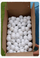 Almost Golf Point3 20 Doz Bulk Balls - White