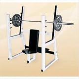 Giant Olympic Shoulder Press Bench