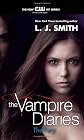 The Fury (The Vampire Diaries)