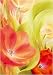 Einem Fruhlingsmorgen II - Art Print Poster 28 x 40