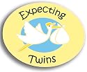 Stork Pin - "Expecting Twins"