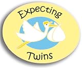 Stork Pin - Expecting Twins
