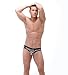 Wholesale Mens Sexy Leopard Predator Bikini Brief Underwear by Gregg Homme Stores Online