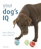 Your Dog's IQ: How Clever is Your Canine?