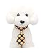 yagopet 10pcs/Pack Halloween Small Cat Dog Ties Skulls Dog Neckties Bow Ties Cat Dog Ties for Halloween Festival Dog Collar Dog Grooming Accessories