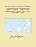 The 2009 Report on Multipoint Fuel-Injection Systems for Internal Combustion Engines Excluding Aircraft and Gasoline Automotive Engines and Gas Turbines: World Market Segmentation by City