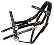 Tucker Standard Halter Bridle