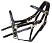 Tucker Standard Halter Bridle