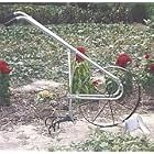 High Wheel Garden Cultivator from Cultivators
