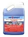 Wet and Forget 10587 1 Gallon Moss, Mold and Mildew Stain Remover