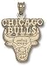 Chicago Bulls Logo 5/8