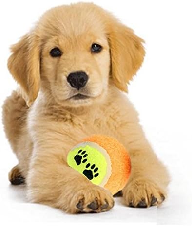 Pawprint Pet Fetch Throw Play Chew Toys Tennis Balls Run Funny Puppy Dog Toy