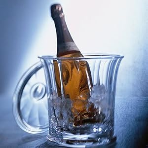 7.75 Diameter, 9 High Grotto Ice Bucket - Grainware by William Bounds by 
