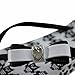 Ipanema Women's Luna Flip Flop