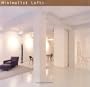 Minimalist Lofts