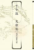 続々 小池光歌集 (現代短歌文庫)