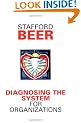 Diagnosing the System for Organizations (Classic Beer Series)