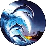 Dolphin#2 Spare Tire Cover