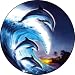Dolphin#2 Spare Tire Cover