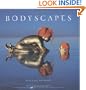 Bodyscapes