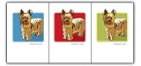 Paper Russells PAGBC488 Grrreen Boxed 6 Note Cards - Yorkshire Terrier STanding