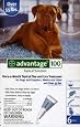 Advantage - Blue Box for Dogs over 55 pounds - 6 pack
