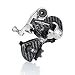 Campagnolo 2009 Record 10-Speed Road Bicycle Rear Derailleur