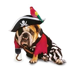 Zelda Pirate Dog Costume - Pet Costumes