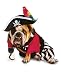Zelda Pirate Costume - Pet Costumes